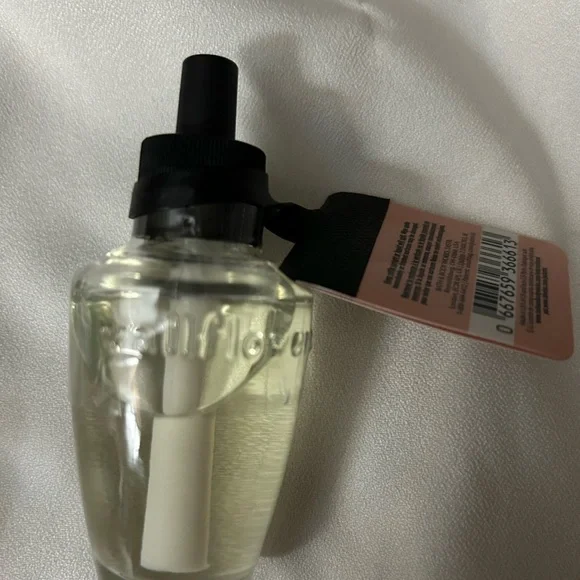 Gold Turtle Wallflower Plug with Blue and Green Accents - Picture 7 of 7